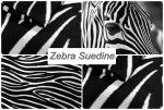 SUEDINE ZEBRA